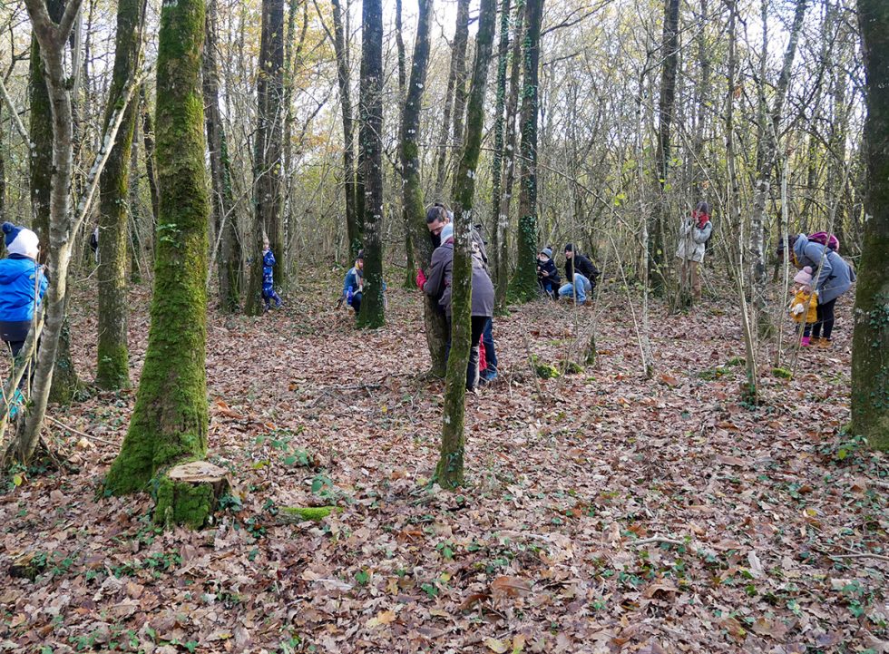 Immersion dans une histoire d'écureuils - parcours sonore en famille chez Marmaille et Pissenlit (44)