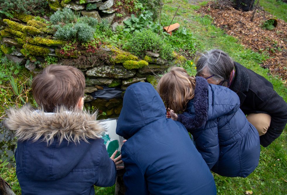 Observation de la mare au Jardin Naturel à Pornic (44)