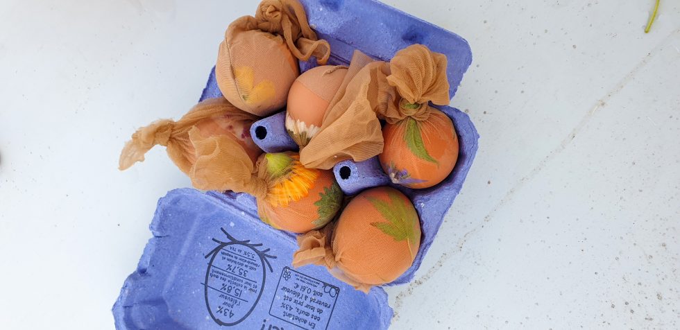 Préparation d'oeufs décorés avec des pelures d'oignons