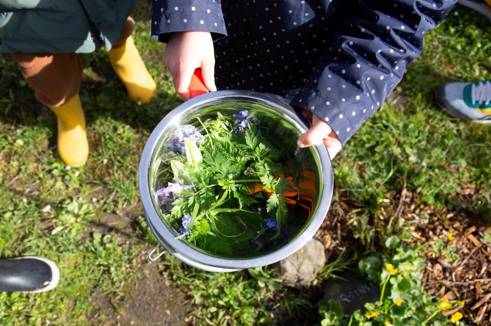 Cueillette de fleurs & plantes au Jardin naturel à Pornic (44) avec les 3-6 ans