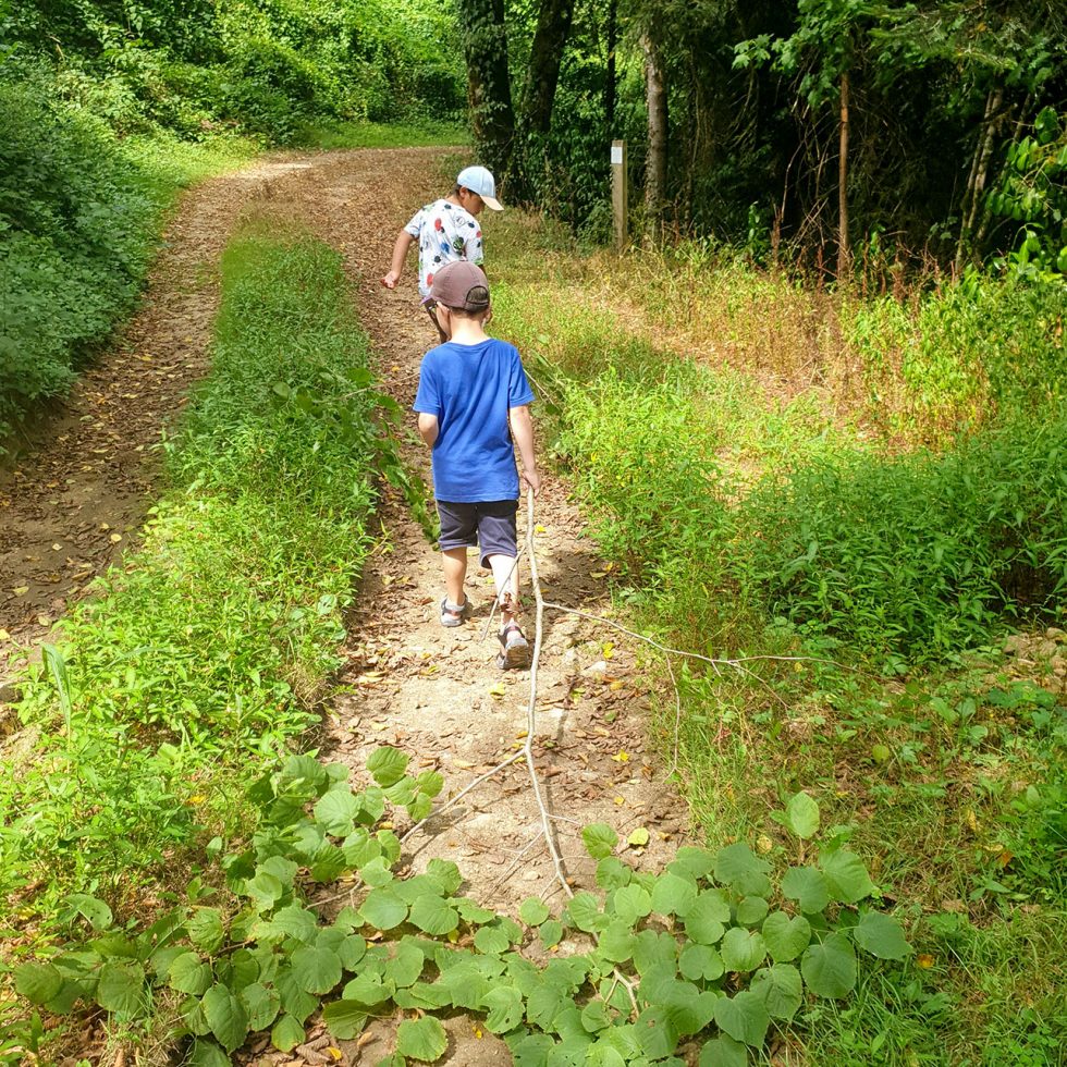Créer et expérimenter en forêt