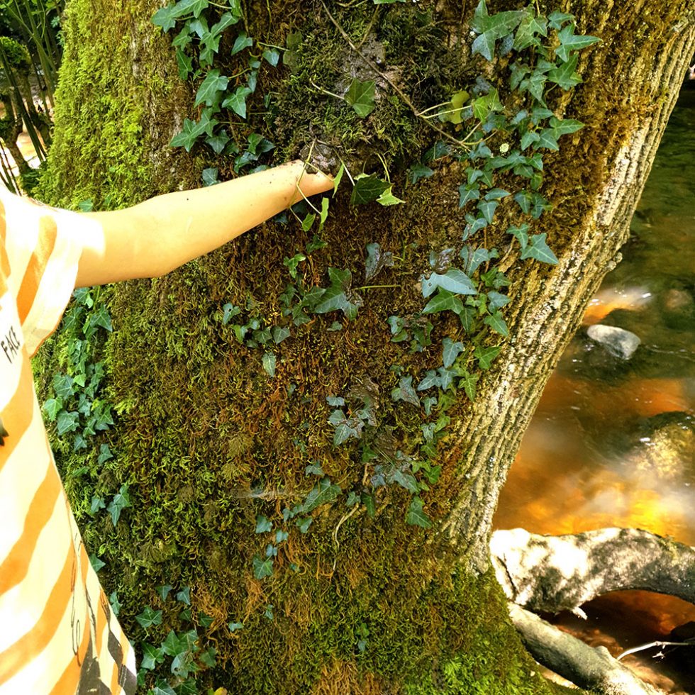 Atelier camouflage en forêt