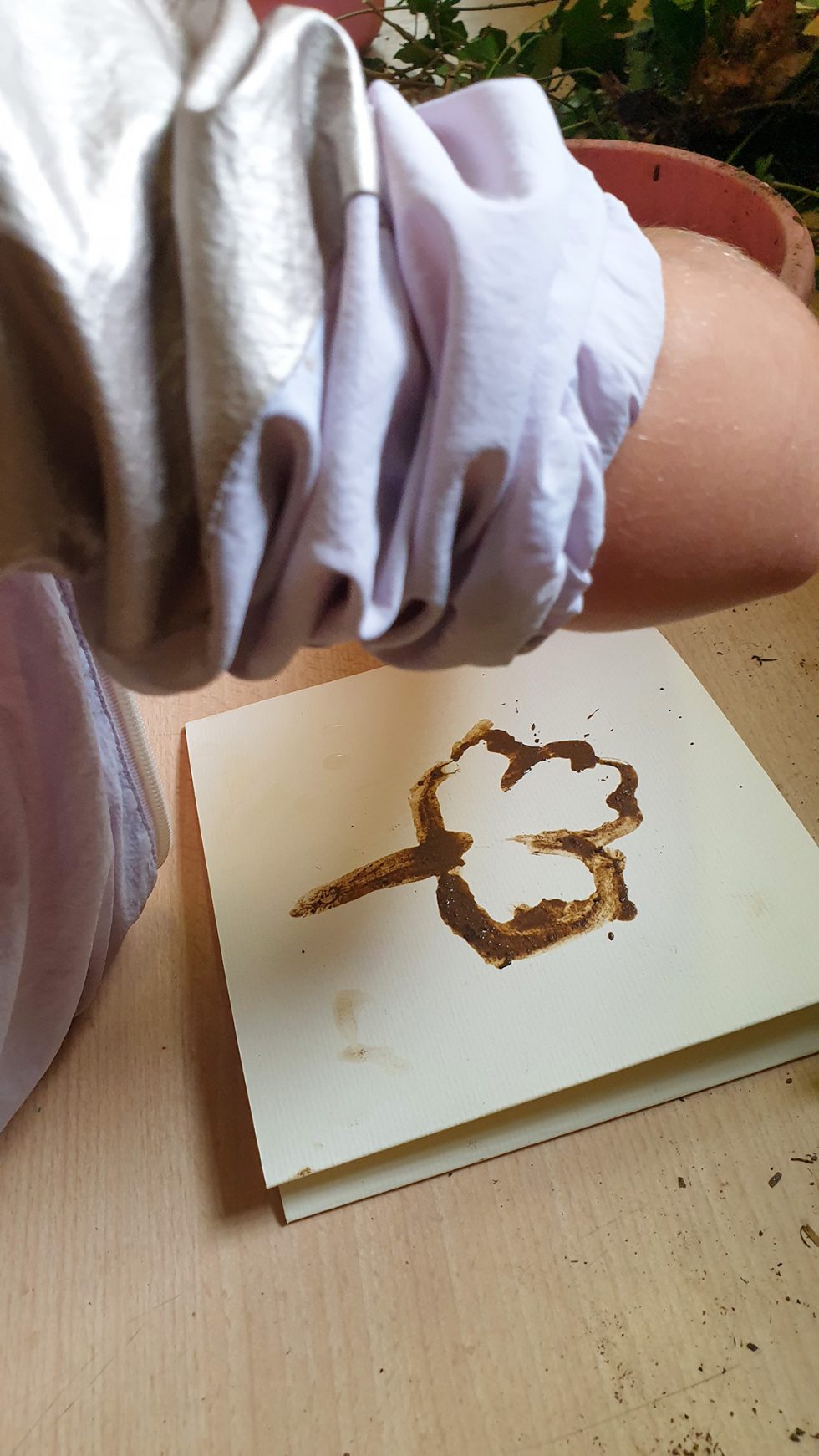 Peindre avec la terre et les végétaux