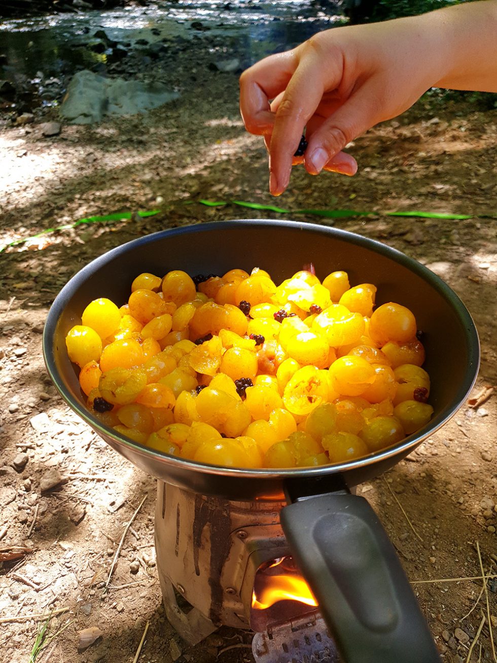 Cuisiner sur le feu !