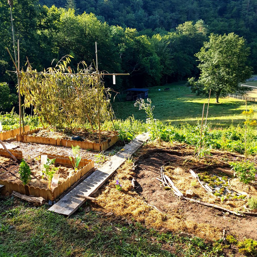 Création et gestion d'un jardin pédagogique