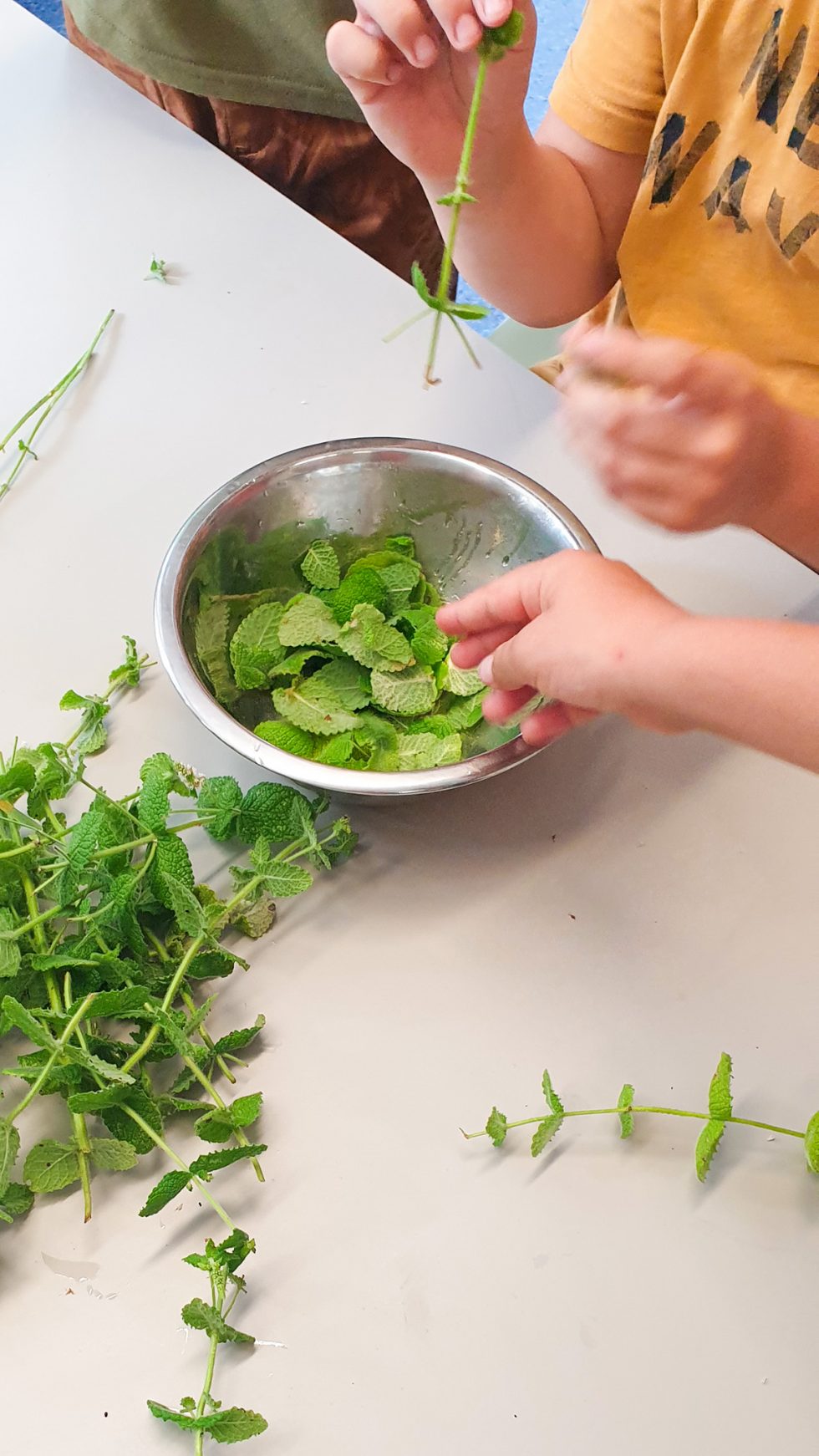 Cuisiner avec les plantes
