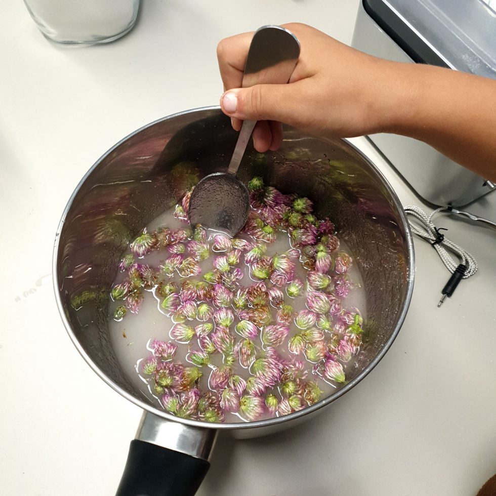 Infuser et cuisiner avec le trèfle