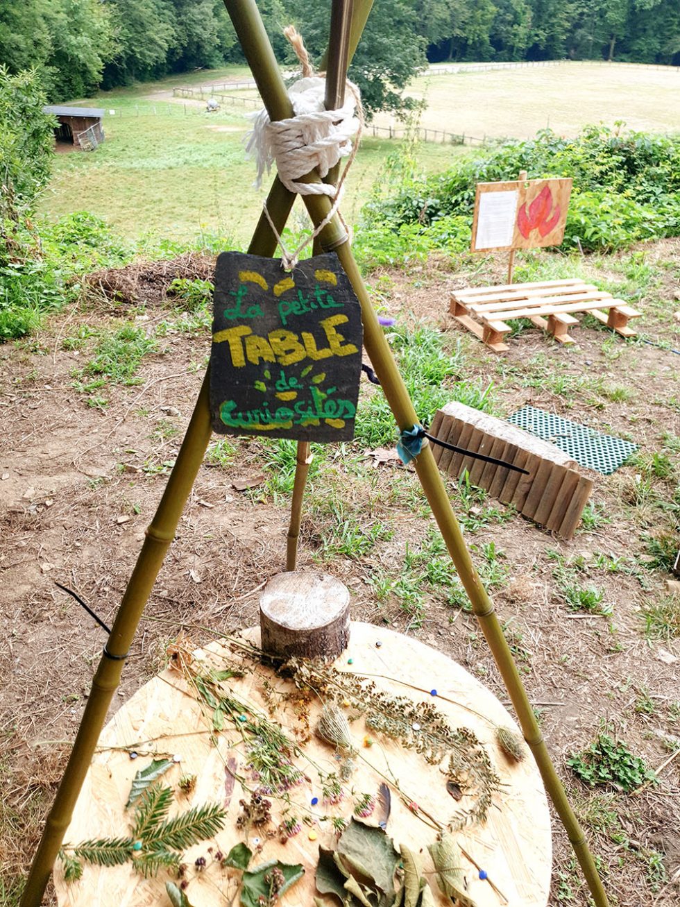 La table des curiosités